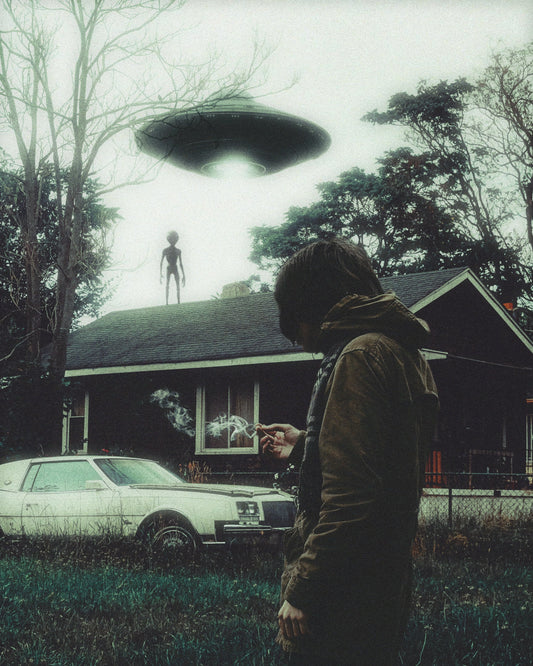The Visitors Fine Art Print